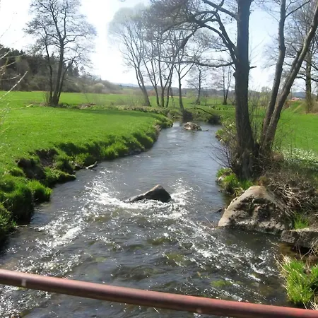 Bei Mit Wald Und Wiesenumgebung Waldmuenchen