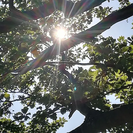 Apartment Bei Mit Wald Und Wiesenumgebung Waldmuenchen