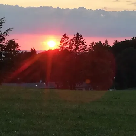 Bei Mit Wald Und Wiesenumgebung Waldmuenchen